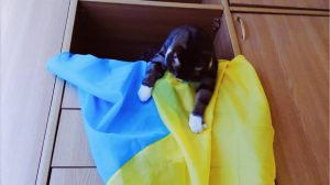 “I need to finish the story”